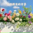 清纯女高