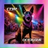 CT3M