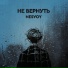 NESVOY