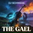 DJ Schwede