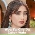 Zaher Wafa