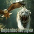 Рок гурт Екватор