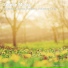 Yoga, Calm Music, Sleep Music