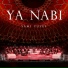 Sami Yusuf