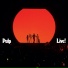 Pulp