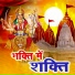 Chandrashekhar Gadgil