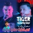 Cheb Amine Tiger