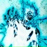 SEDNAR