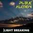 Public Auction