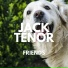 Jack Tenor