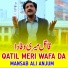 Mansab Ali Anjum