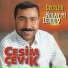 Cesim Çevik