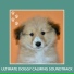 Relaxing Dog Music