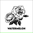WATERMELON