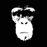 The Paranoid Monkeys