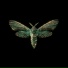 Imminence
