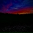 EJdaGoat