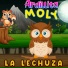Ardillita Moly