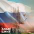 Павел Русский, Проект АДАМ СМИТ