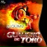 GUALICHO DE TORO