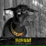 СТРОГИЙ, ZhuMai
