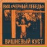 ВИА Черный лебедь