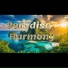 JGadda