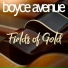 Boyce Avenue