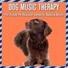 Relaxmydog, Dog Music Dreams