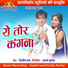 Dilip Ray