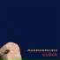 Manfred Maurenbrecher