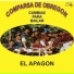 Comparsa De Obregon