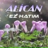 Alican