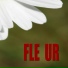 FLE UR