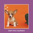 Relaxing Dog Music