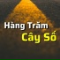 Chí Tâm