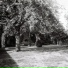Bagots Hutton