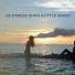 Symphony Orchestra Anti-Stress Sound