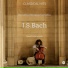 Classical Hits, Paweł Dąbrowski