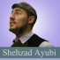 Shehzad Ayubi