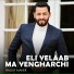 Raouf Maher