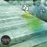 bear-garden