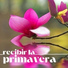 Fiesta de la Primavera