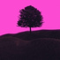NonTrip