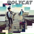 POLYCAT