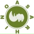 ASARHINO