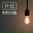 大脑开发