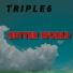 TRIPLE6
