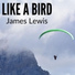 James Lewis