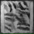 deadlost